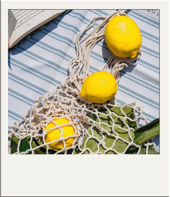 Polaroid photo of lemons in a net bag on a striped picnic blanket.